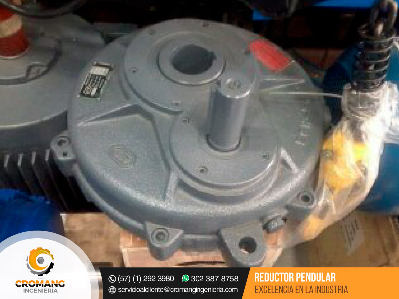 reductor pendular